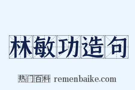 林敏功造句是什么意思的图片
